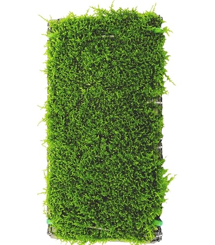 Amazon.co.jp: 【3枚セット】無農薬 自家産 ウィローモス マット 中