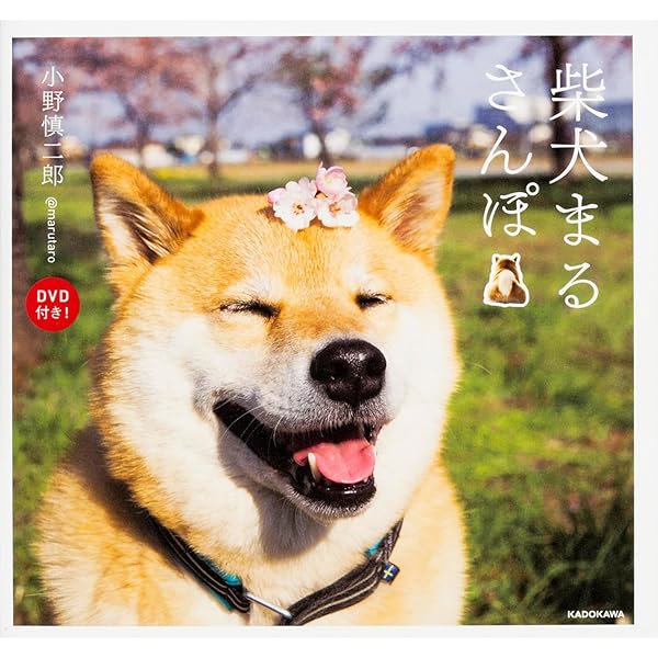 Amazon.co.jp: 柴公園 TVシリーズ DVD-BOX : 渋川清彦, 大西信満