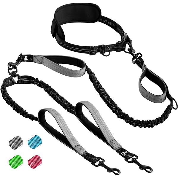 Ensomart dual dog leash Clearance