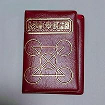 金色のガッシュ！！　缶ケース 71THgEZso7L._AC_UL210_SR210,