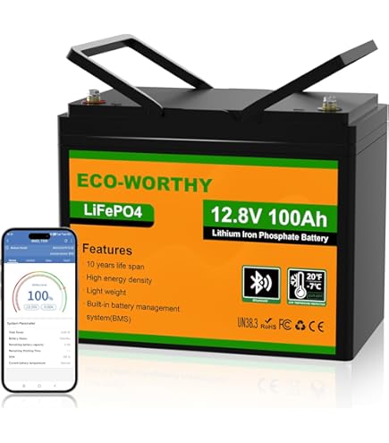 Amazon.co.jp: MFUZOP 12V100Ah リン酸鉄リチウムイオンバッテリー