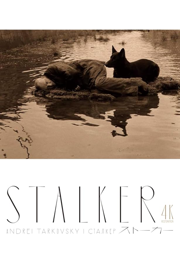 終わりなきタルコフスキー | 忍澤勉 |本 | 通販 | Amazon