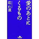 愛のあとにくるもの (幻冬舎文庫 つ 1-8)