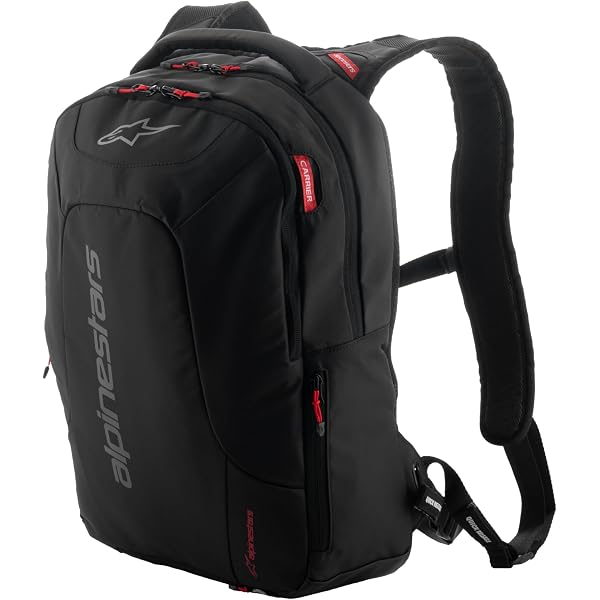 Amazon.co.jp: Alpinestars Sealed Sport Pack (Black, One Size