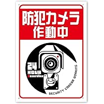 防犯カメラ 11117 家電,家電,防犯家電,セキュリティー機器,防犯カメラ | ニシムタ