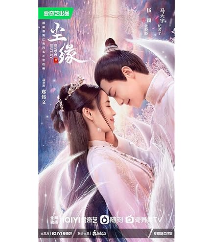 家族の名において　全20巻セット　完結　DVD　ドラマ　中国 中国ドラマ「家族の名において」 待望のDVD-BOX発売、レンタル
