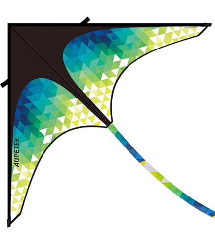 SPINNING KITE  スピニングカイト【初回限定盤DVD】 ＆グッズ SPINNING KITE スピニングカイト DVD - メルカリ