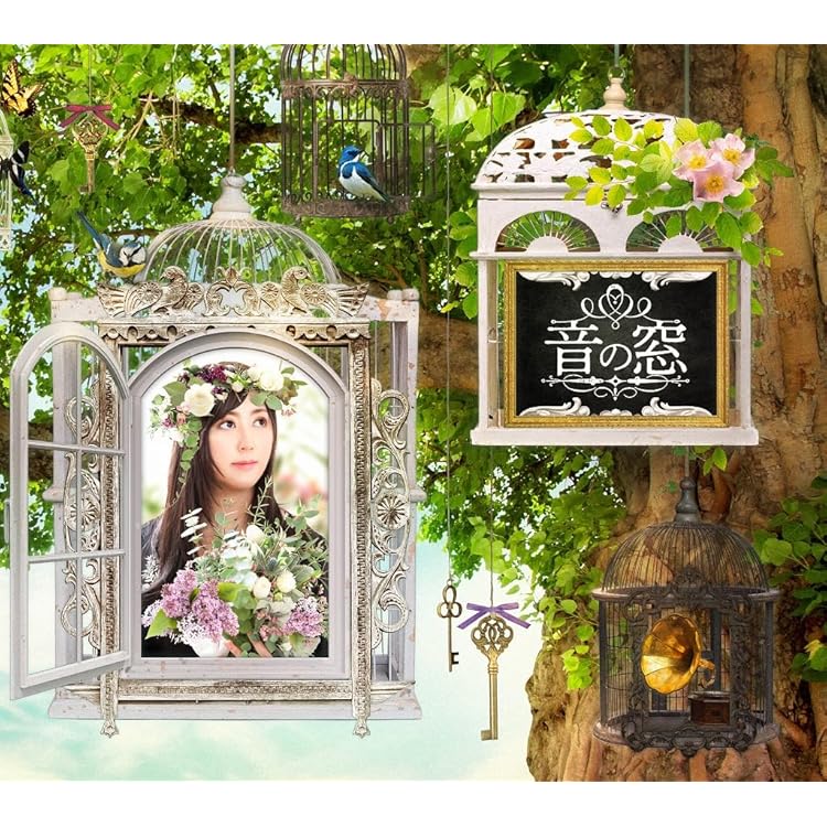 月夜の音楽会 志方あきこ CD Amazon | 月夜の音楽会 | 志方あきこ, 志方あきこ | アニメ