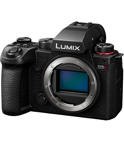 Panasonic LUMIX GF9 Mirrorless Digital Camera Kit with Orange DC