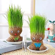 プラントドール®　植物で作った人形　アンティーク プラントドール・ミユキ