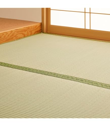 Amazon.co.jp: い草ラグ 寝ござ シングル 国産い草100% : ホーム＆キッチン