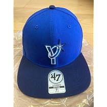 Amazon.co.jp: 完売品 横浜DeNAベイスターズ 