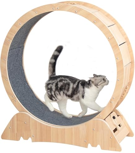 Amazon.co.jp: Apaeofl キャットホイール 猫の車輪 猫 ホイール 猫用ト