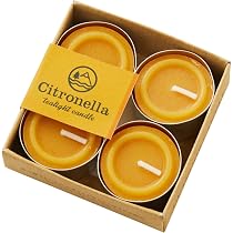 Amazon.co.jp: ロゴス(LOGOS) ランタン キャンドルランタン ろうそく1