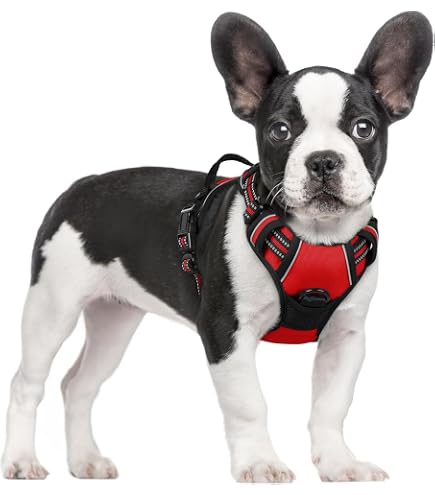 Amazon | Hurtta（フルッタ） ウォーリアハーネス2エコ 犬用ハーネス