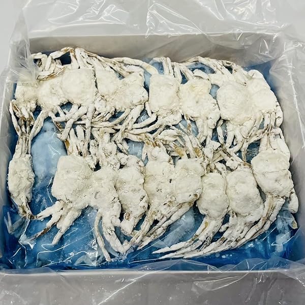 から揚げ M15346 2個 食品サンプルキーホルダー からあげ 鶏の唐揚げ