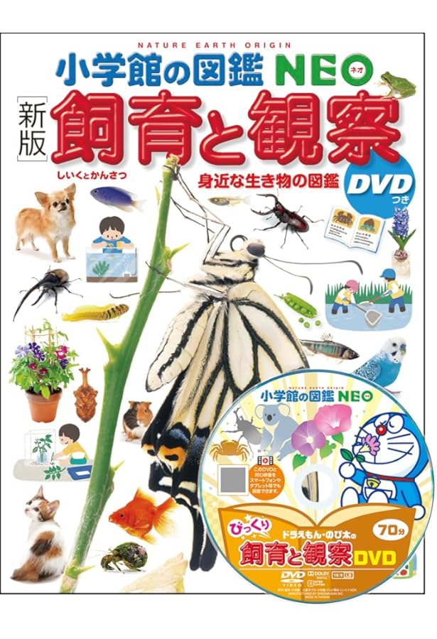 新版］カブトムシ・クワガタムシ DVDつき (小学館の図鑑NEO 16