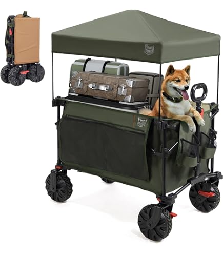 Amazon.co.jp: AetherTech キャリーワゴン 屋根付き 後ろ開け キャンプ ワゴン 長物対応 折り畳み 大容量230L  ワンタッチ収束 耐荷重150kg １台３用 ブレーキ付き 省スペース ワイドタイヤ 多用途 アウトドア/車中泊/防災用 レジャーシートプレゼント :  スポーツ＆アウトドア