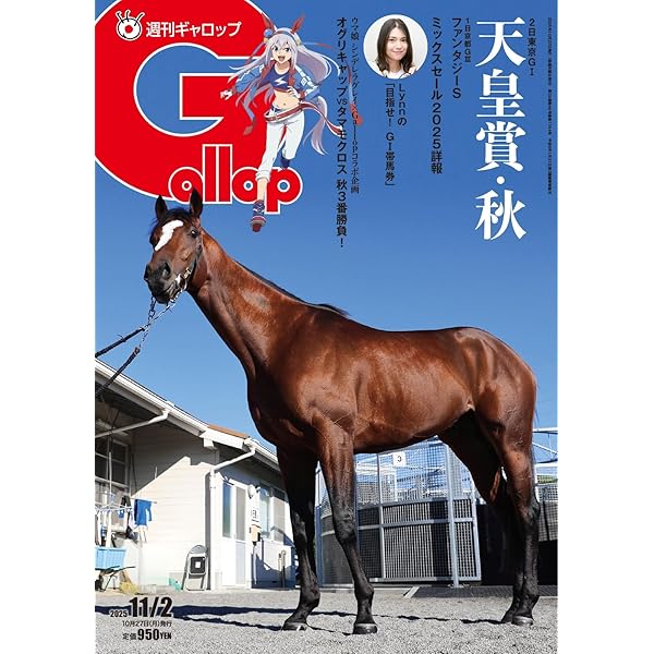Gallop ギャロップ　臨時増刊号　永久保存版　17冊セット 楽天市場】週刊ギャロップ gallopの通販