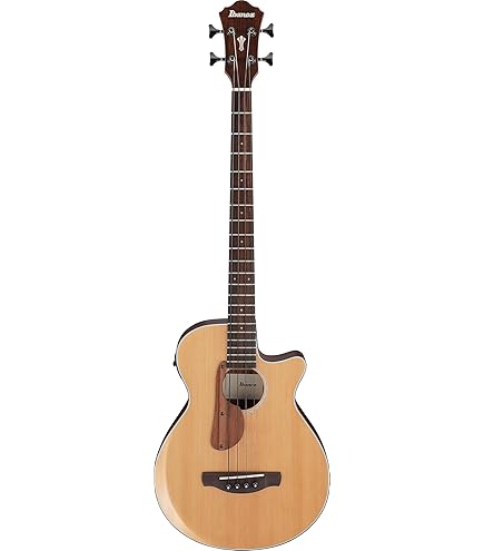 Amazon | ARIA FEB-F2/FL Stained Brown エレクトリック