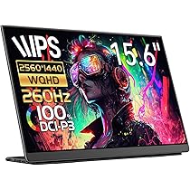 Amazon.co.jp: EHOMEWEI モバイルモニター 260Hz 15.6インチ 2K Switch