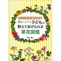 71TkN0hyJOL._AC_UL210_SR210,