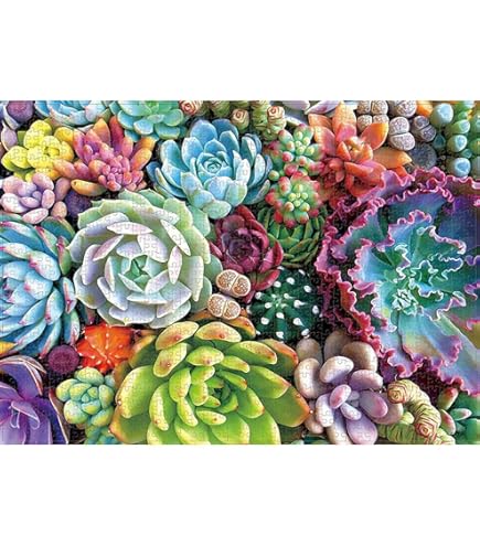 Amazon.co.jp: スターリーテイルズ the Zodiac by KAGAYA 1000