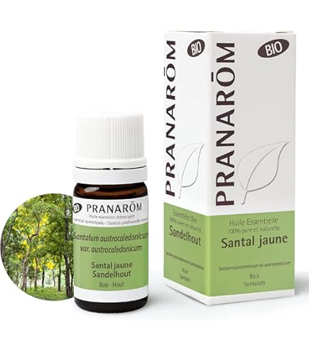 プラナロム ジャスミン 5ml PRANAROM エッセンシャルオイル Amazon | プラナロム ジャスミン 5ml （PRANAROM ケモタイプ精油