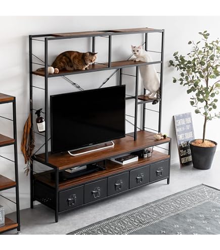 Amazon|テレビ台 キャットタワー ハイタイプ キャットウォーク 180 猫 Amazon|テレビ台 キャットタワー ハイタイプ キャットウォーク 180 猫
