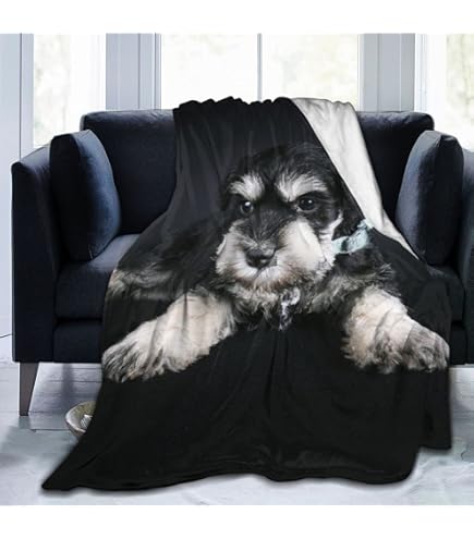 Amazon｜かわいいシュナウザー 毛布 ブランケット 大判 タオルケット