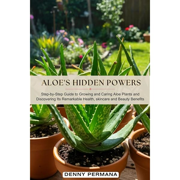 The Science Behind Aloe: The Healing Plant - EMBA Erik Aguayo