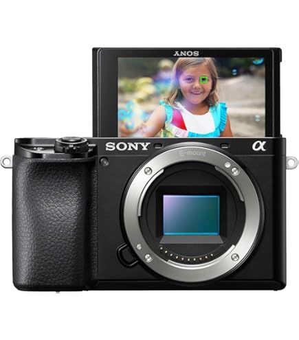 SONY α6100 4K Eマウントカメラ　ソニー α6100 特長 : 高解像4K動画と多彩な動画機能/WEBカメラ対応 | デジタル