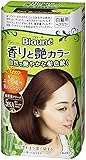【花王】ブローネ 香りと艶カラー クリーム ５ＮＡ：深いナチュラルブラウン ８０ｇ ×２０個セット
