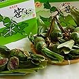 笹団子 新潟名物 笹だんご 新潟土産 １０個セット お土産 お菓子