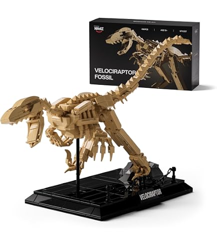 Amazon.co.jp: Nifeliz T.Rex 恐竜化石組み立てセット、NF10343