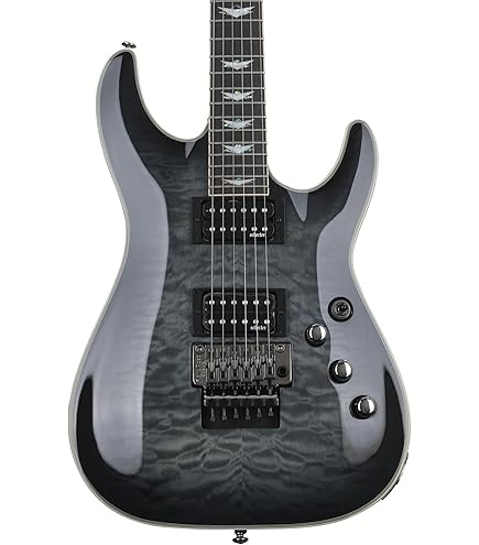 Amazon | SCHECTER (シェクター) エレキギター OMEN EXTREME-6 FR VSB
