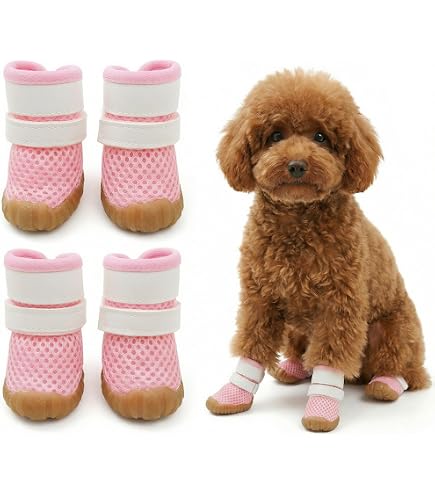 ((箱無発送))ペット クロックス ブーツ シューズ 犬 Amazon.co.jp: 犬用クロックス春夏レインブーツペット用品ゴールデン