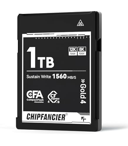 新品 Fanxiang CFexpress Type B 2TB CFE01 2TB CFexpress Type B Memory Card, Up to 1700MB/s, CF Express Card
