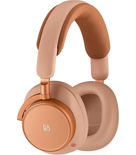 Bang & Olufsen Fully Wireless Earbuds Noise Cancelling Bluetooth