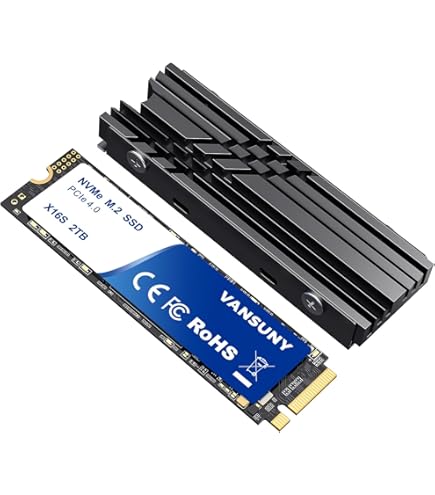 Fanxiang SSD 2TB M.2 Type 2280 [PS5 Operation Verified] PCIe Gen