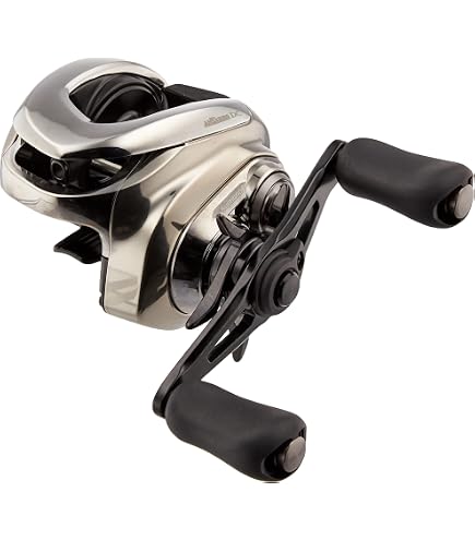 Amazon.co.jp: Daiwa Bass Bait Reel 24 STEEZ SV TW 100H (2024 Model