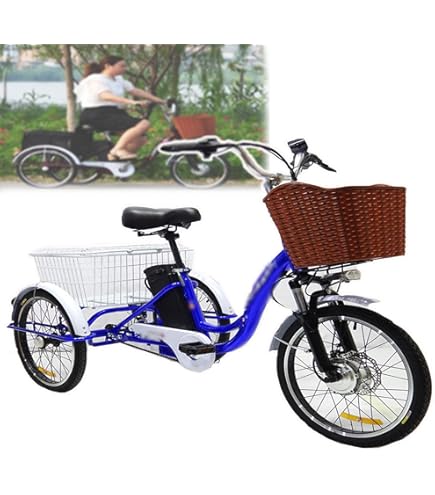 Amazon | 【100%完成車納品】 PELTECH(ペルテック) 電動アシスト