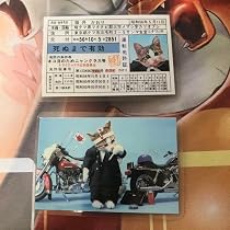 Amazon.co.jp: 2点セット なめんなよ なめ猫 免許証 猫井かおり 昭和