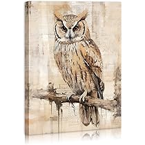 71UFzLJGBOL._AC_UL210_SR210,