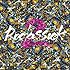 BIGMAMA「Roclassick 2」