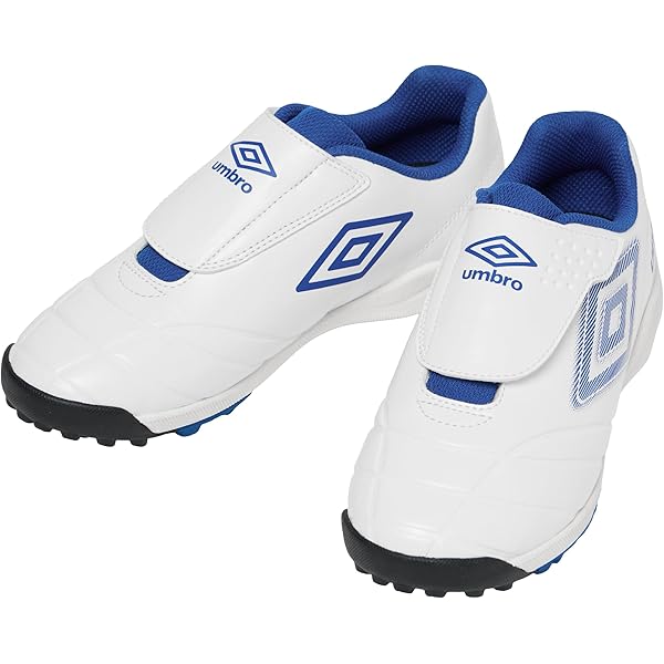 ポジショニングもよくわかる サッカー オフ・ザ・ボール入門 DVD付き