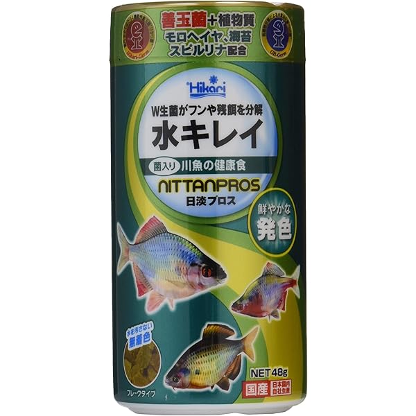 絶版☆日本タナゴ釣り紀行 2 (古里の風景と鱮を巡る平成の旅)入手困難 611wsA9GDHL._AC_SY200_QL15_.jpg
