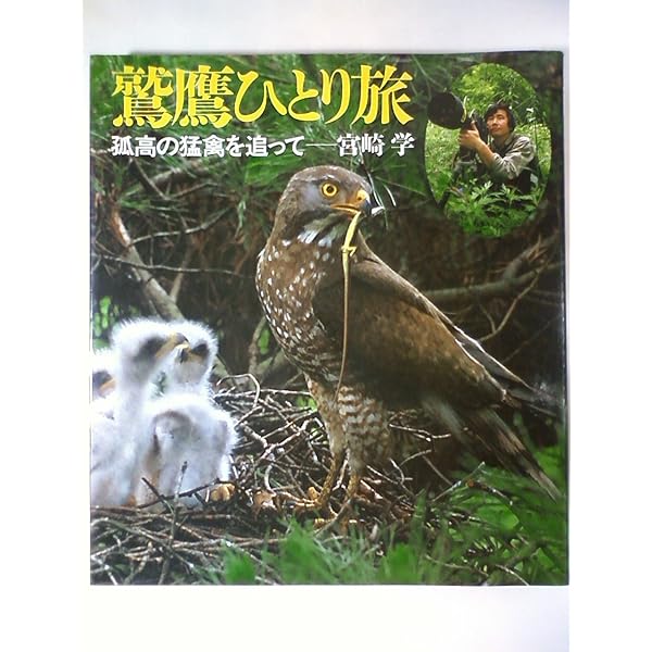 森の365日: 宮崎学のフクロウ谷日記 | 宮崎 学 |本 | 通販 | Amazon