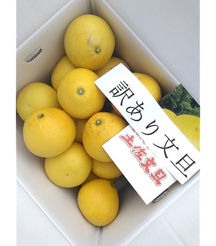 Amazon.co.jp: 中玉~小玉サイズ お試しに最適 ご家庭用 高知特産 露地