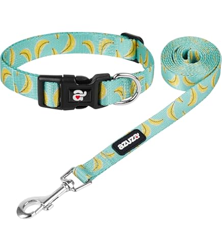 超希少 NITRAID DOG リード 首輪 セット ナイトレイド 犬 超希少 NITRAID DOG リード 首輪 セット ナイトレイド 犬